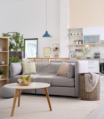 Stylish apartment interior with modern kitchen. Idea for home design