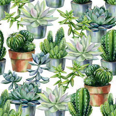 Seamless watercolor pattern with cactus and succulents in pots. Cacti and stone rose illustration for print, home or garden decoration, wrapping paper, textile or wallpaper. Florarium art.