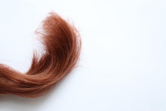 Lock of hair cut for style 