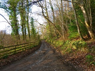 Country walk in Yorkshire