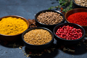 paprika, turmeric, red pepper and other fragrant spices on dark background, closeup