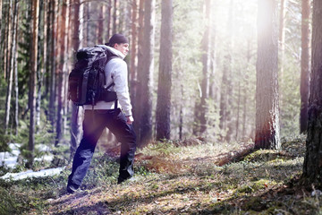 Naklejka na ściany i meble A man is a tourist in a pine forest with a backpack. A hiking tr