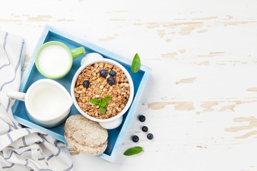Fototapeta na wymiar Healthy breakfast set with muesli, berries and milk
