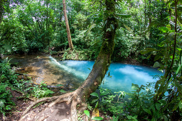 türkiser Flusslauf mit Vulkanspalte des Rio Celeste in Costa Rica