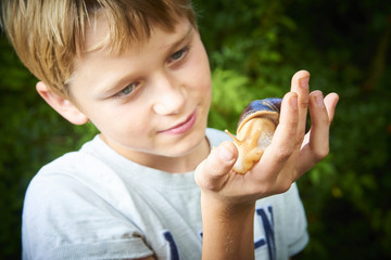Child boy looking at giant snail on palm.  Unusual home pet example. Selective focus
