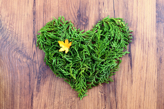 Love autumn decoration with twigs forming a heart on wooden background