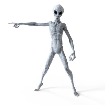 3d rendered illustration of a humanoid alien