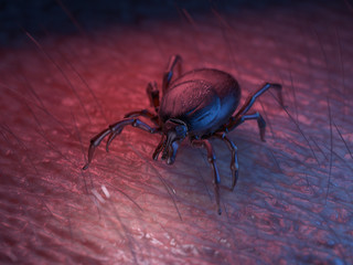 3d rendered illustration of a tick on skin