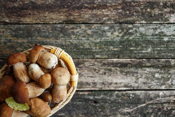 Mushroom Boletus over Wooden Background. Autumn Cep Mushrooms. Cooking delicious organic mushroom....