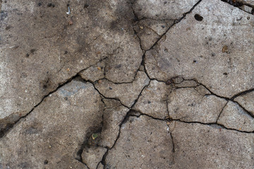 Texture