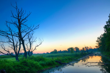 Fototapeta na wymiar Biebrza river at dawn. Osowiec, Podlasie, Poland.