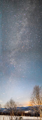 The milky way in the constellation Cygnus. Vertical panorama