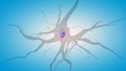 3d rendered medically accurate illustration of a human nerve cell