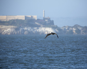 Alcatraz Island, San Francisco, California, USA