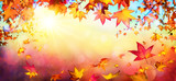 Falling Autumn Red Leaves With Sunlight - Fall Background

