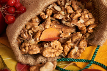 autumn harvest - fruits and vegetables are on fallen yellow leaves, nuts, apples, pumpkins, rowan and pepper. Perfect background for autumn season.