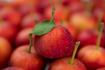red apples 