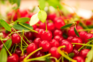 bunch of red cherries