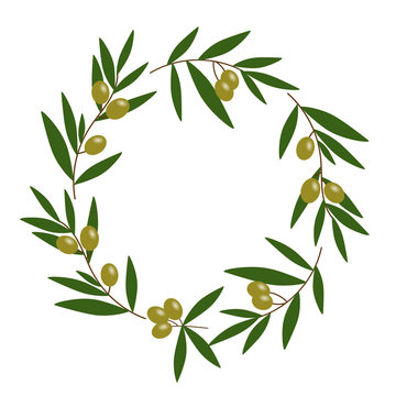 green olive wreath with green leaves illustration vector