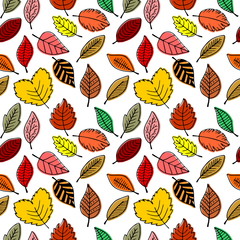 Obraz premium Seamless patterns of autumn leaves. Elegant and beautiful leaflets and plant elements.