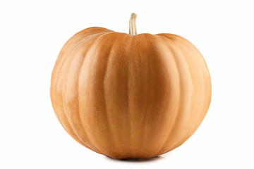 Orange pumpkin isolated on a white background