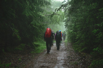 Tourists in the rainy forest
