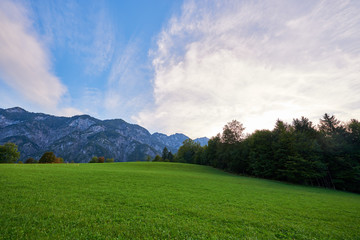 Fototapeta na wymiar Beautiful mountain valley/field landscape with trees and blue sky in Austrian Alps. Austria, Salzkammergut