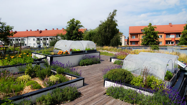 urban gardening sweden