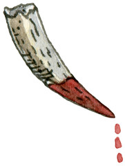 Watercolor and ink illustration of Basilisk's canine tooth. Hand drawn object.