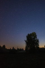 Fototapeta premium Starry night