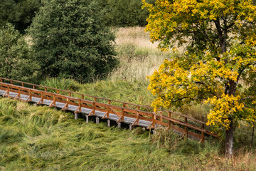 Fototapeta premium Holzbrücke über Feuchtwiese im Harz