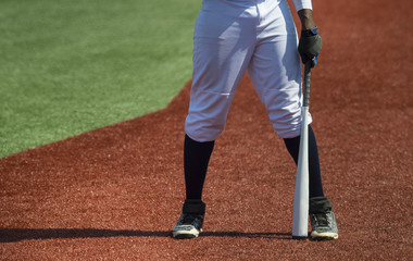 Obraz premium Professional baseball player in action on arena
