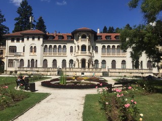 the palace
