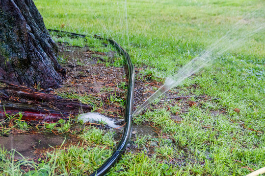 Water hose with a big leak that is used for hydrating the trees on hot days during summer of a park in the city. The leaks reduce efficency and effectiveness and rise the water consumption
