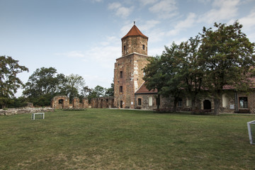 Fototapeta na wymiar Old castle Toszek in Poland,