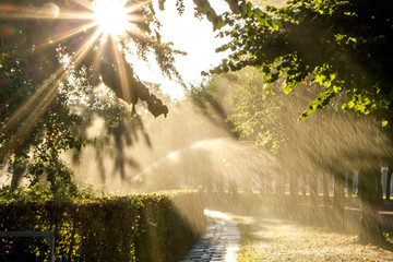 Yawn sprinklers are hydrating the trees and bushes of a public park during a summer day with scenic...