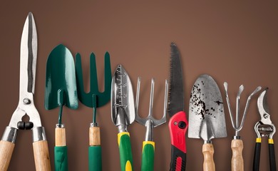 Row of gardening tools on wooden background