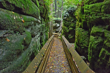 Moss Covered Boulders