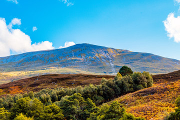 Schiehallion viewed from Tay Forest Park, Scotland