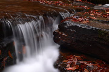 Small Waterfall Crevice and Autumn Toned Stream