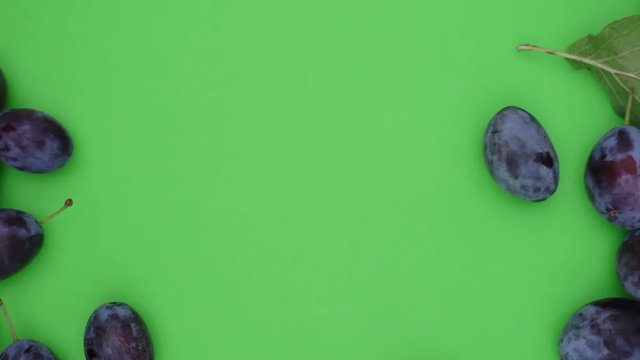 L&auml;ngliche frische reife Zwetschgen rollen in das Standbild. Sie decken den gr&uuml;nen Hintergrund ab, der f&uuml;r chroma keying geeignet ist. Aufnahme in Echtzeit von oben.