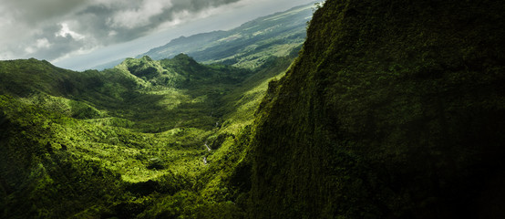 Flying inside the wildness