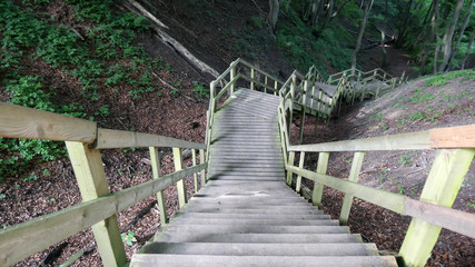 Sentiero attrezzato nel bosco