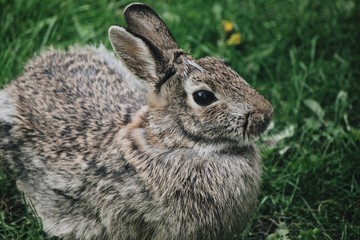 Processed with VSCO with a6 preset