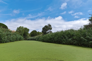 River near the beach of Porto Novo in Torres Vedras, Portugal