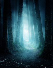 Ein Weg zwischen Bäumen, der in einen dunklen und nebligen Wald führt. Foto-Zusammensetzung.