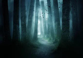 Gordijnen Pad door een donker bos © James Thew