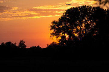 Golden sunset with plane