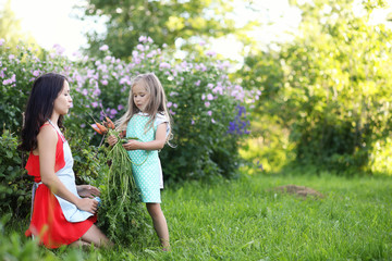 Girl with a harvest of vegetables in the garden 