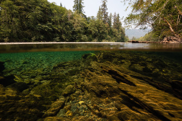 Over and Under picture of a river during a vibrant sunny summer day. Taken near Tofino and Ucluelet, Vancouver Island, BC, Canada. © edb3_16